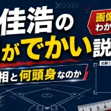 丸佳浩の顔がでかい説の真相と何頭身なのか画像比較でわかる特徴