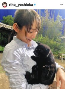 吉岡里帆の実家の猫が話題！家族で猫好きエピソードまとめ