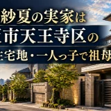 湊崎紗夏の実家は大阪市天王寺区の高級住宅地・一人っ子で祖母と同居